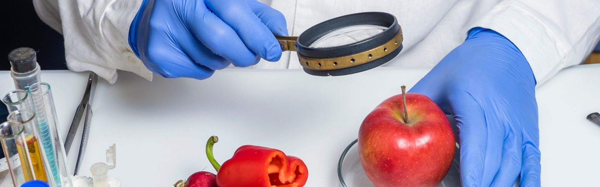 ISO 22000 Gıda Güvenliği Yönetim Sistemi